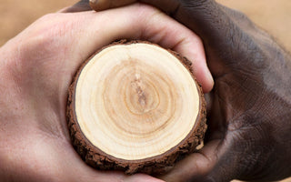 Benefits of Australian Sandalwood Essential Oil