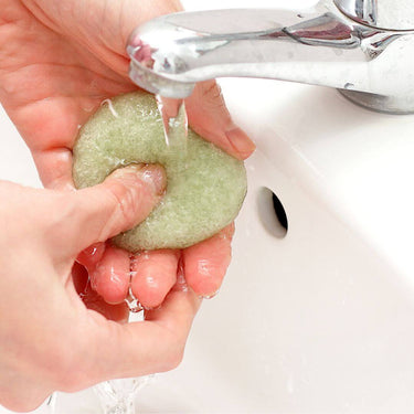 Natural Green Tea Konjac Sponge – Yamamoto Farm Japan. Biodegradable